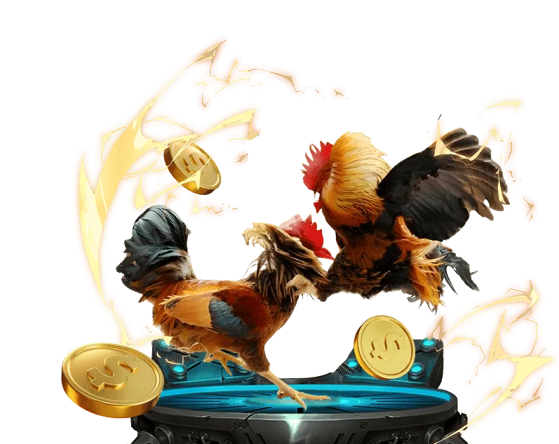 Two roosters in a sabong arena, representing the PH7 sabong betting option.